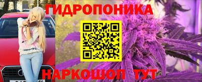 прущие крисы Нарткала