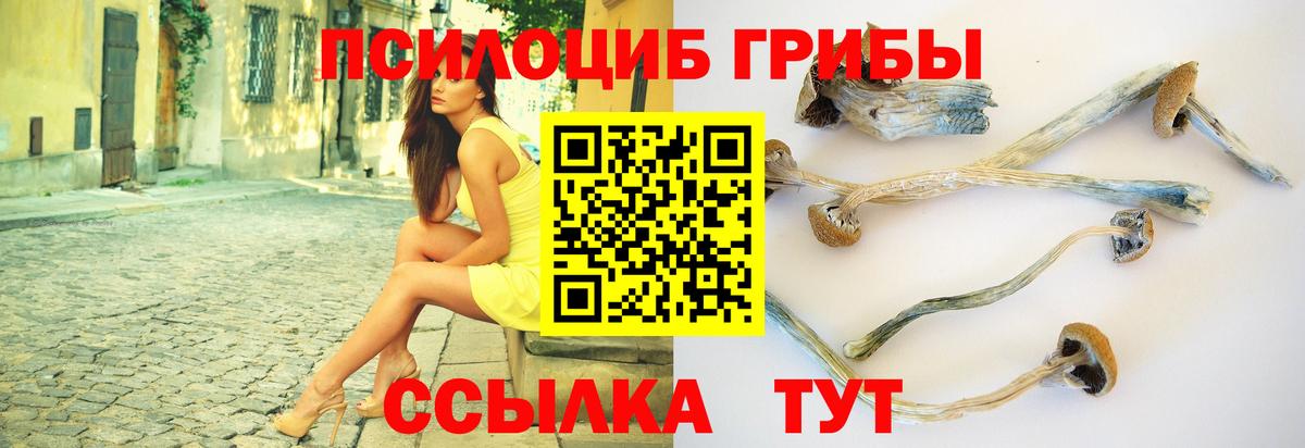 Учалы  Псилоцибиновые грибы Psilocybe  Вход с VPN  Псилоцибиновые грибы Psilocybe 